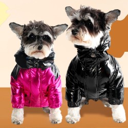 Dog Clothing Accessory #028 Dog Clothing Accessory #028