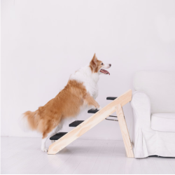 Dog Ramp and Steps #036 Dog Ramp and Steps #036