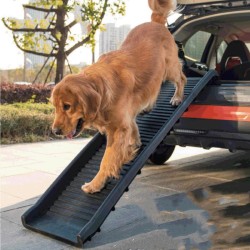 Dog Ramp and Steps #038 Dog Ramp and Steps #038