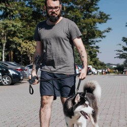 Car Traction Dog Leash Can Go Out Dog Walking Artifact Car Traction Dog Leash Can Go Out Dog Walking Artifact
